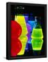 Essential Black