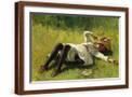 Brown Frame