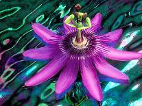 Detail of Passion Flower on Stained Glass, Alpharetta, Georgia, USA-Charles R. Needle-Photographic Print