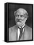 Charles Reade, 19th Century English Novelist and Dramatist-null-Framed Stretched Canvas