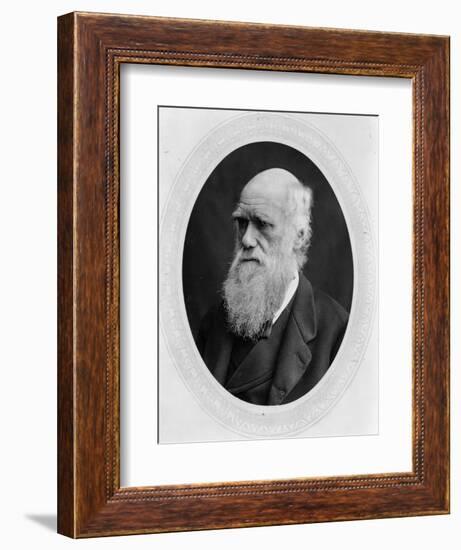 Charles Robert Darwin (B/W Photo)-Lock and Whitfield-Framed Giclee Print