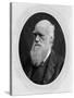 Charles Robert Darwin (B/W Photo)-Lock and Whitfield-Stretched Canvas