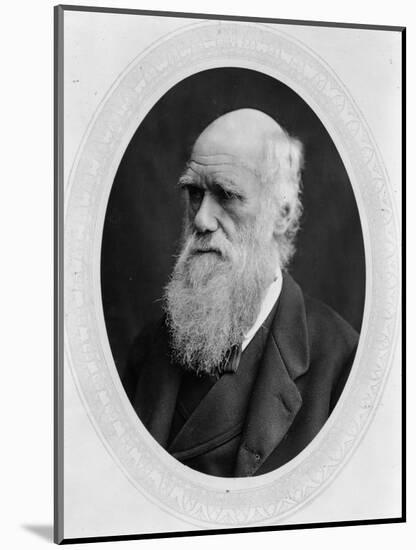 Charles Robert Darwin (B/W Photo)-Lock and Whitfield-Mounted Premium Giclee Print