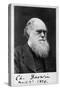 Charles Robert Darwin, English Naturalist-Science Source-Stretched Canvas