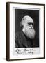 Charles Robert Darwin, English Naturalist-Science Source-Framed Giclee Print