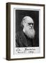 Charles Robert Darwin, English Naturalist-Science Source-Framed Giclee Print