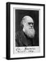 Charles Robert Darwin, English Naturalist-Science Source-Framed Giclee Print