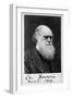 Charles Robert Darwin, English Naturalist-Science Source-Framed Giclee Print