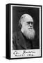 Charles Robert Darwin, English Naturalist-Science Source-Framed Stretched Canvas