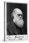 Charles Robert Darwin, English Naturalist-Science Source-Stretched Canvas