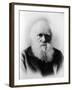 Charles Robert Darwin, English Naturalist-Science Source-Framed Giclee Print