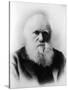 Charles Robert Darwin, English Naturalist-Science Source-Stretched Canvas