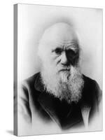 Charles Robert Darwin, English Naturalist-Science Source-Stretched Canvas