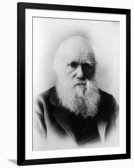 Charles Robert Darwin, English Naturalist-Science Source-Framed Giclee Print