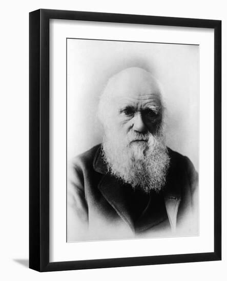 Charles Robert Darwin, English Naturalist-Science Source-Framed Giclee Print