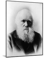 Charles Robert Darwin, English Naturalist-Science Source-Mounted Giclee Print