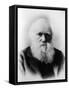 Charles Robert Darwin, English Naturalist-Science Source-Framed Stretched Canvas