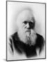 Charles Robert Darwin, English Naturalist-Science Source-Mounted Giclee Print