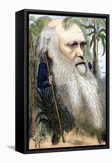 Charles Robert Darwin-Frederick Waddy-Framed Stretched Canvas