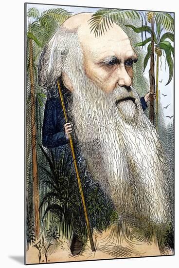 Charles Robert Darwin-Frederick Waddy-Mounted Premium Giclee Print