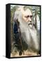 Charles Robert Darwin-Frederick Waddy-Framed Stretched Canvas