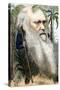 Charles Robert Darwin-Frederick Waddy-Stretched Canvas