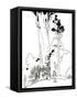 Canvas Black