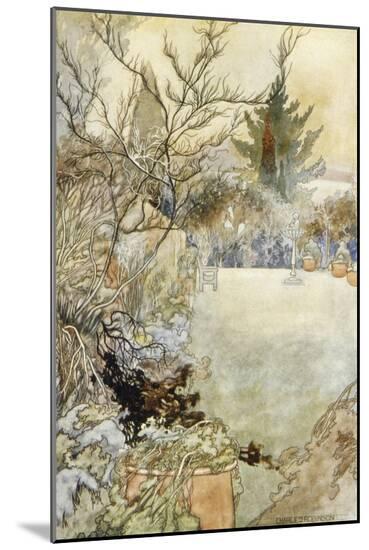 Art Print, , large
