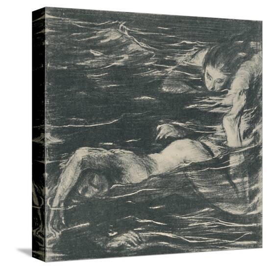 Stretched Canvas Print, , large
