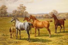 Horses and Foal in a Field-Charles Sillem Lidderdale-Giclee Print