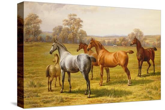 Stretched Canvas Print, , large