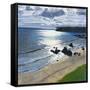 Canvas Black
