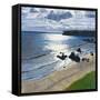 Canvas Black