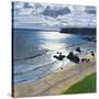 Stretched Canvas