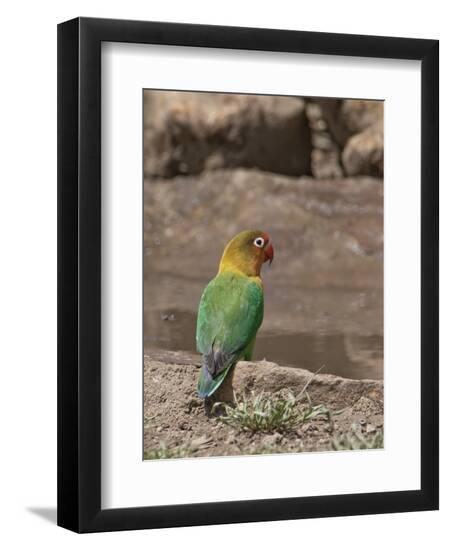 Photographic Print, , large
