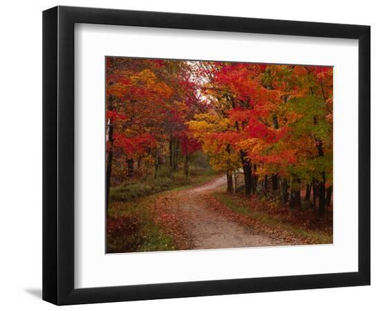Premium Photographic Print, , large