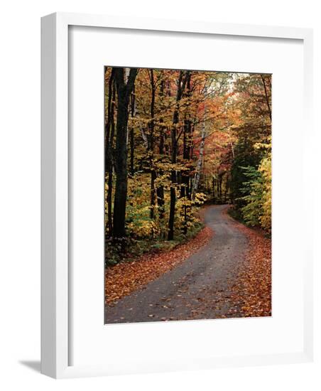 Framed Photographic Print, , large