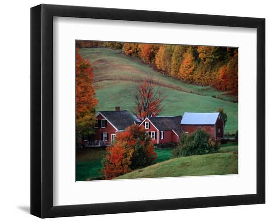 Premium Photographic Print, , large