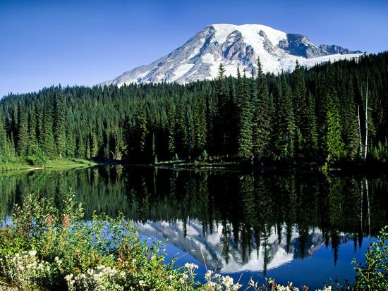 Premium Photographic Print, , large