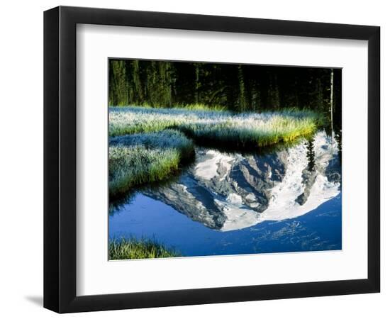 Premium Photographic Print, , large