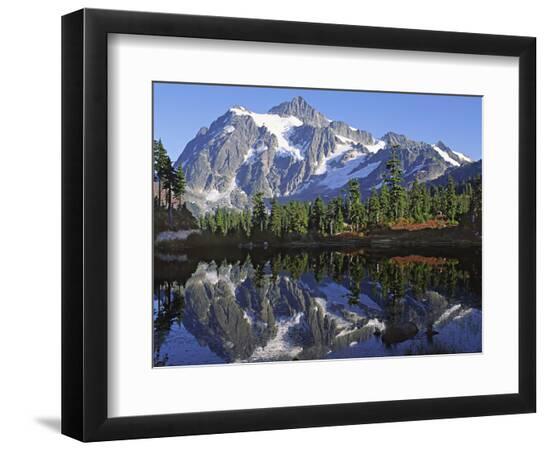 Premium Photographic Print, , large