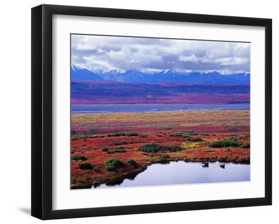 Premium Photographic Print, , large