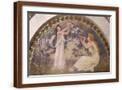 Brown Frame