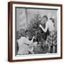 Brown Frame
