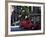 Charles Street, Beacon Hill, Boston, Massachusetts, New England, USA-Amanda Hall-Framed Photographic Print