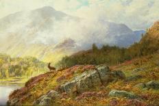 Deer in Highland Landscape by Charles Stuart-Charles Stuart-Framed Giclee Print