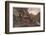 Charles Stuart in Hiding-null-Framed Photographic Print