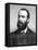 Charles Stuart Parnell, 19th Century Irish Politician, C1874-1891-null-Framed Stretched Canvas
