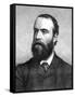 Charles Stuart Parnell, 19th Century Irish Politician, C1874-1891-null-Framed Stretched Canvas