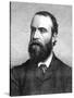 Charles Stuart Parnell, 19th Century Irish Politician, C1874-1891-null-Stretched Canvas